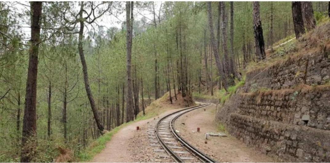 The Heritage Home Kasauli I Pine View Serviced Villa I Best Seller I Vacations I Family Events I Sky Bonfire I Kasauli By Exotic Stays ภายนอก รูปภาพ