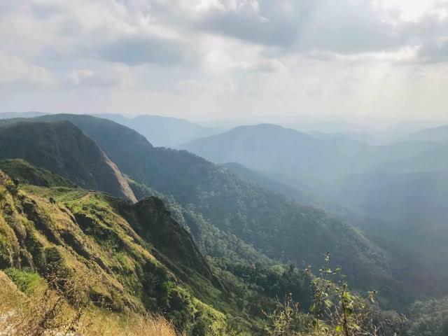 The Heritage Home Kasauli I Pine View Serviced Villa I Best Seller I Vacations I Family Events I Sky Bonfire I Kasauli By Exotic Stays ภายนอก รูปภาพ