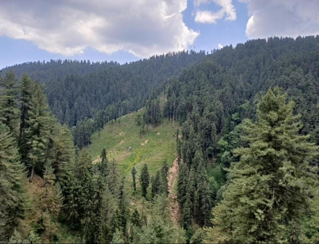The Heritage Home Kasauli I Pine View Serviced Villa I Best Seller I Vacations I Family Events I Sky Bonfire I Kasauli By Exotic Stays ภายนอก รูปภาพ